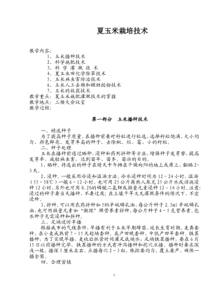 夏玉米栽培技术培训教案