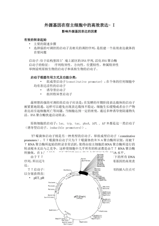 外源基因在宿主细胞中的表达1
