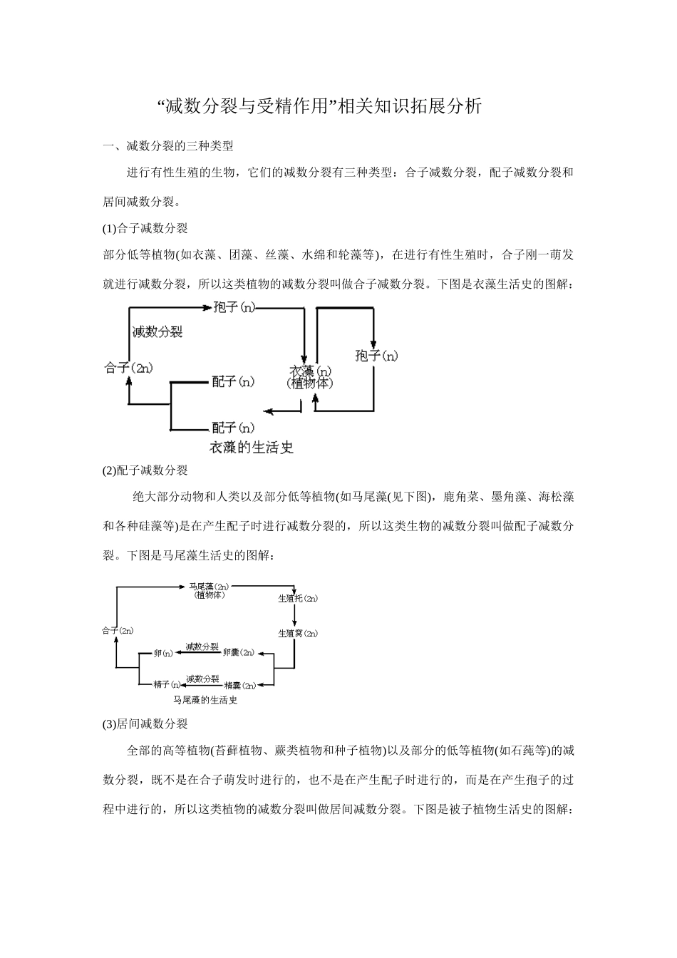 “减数分裂与受精作用”相关知识拓展分析_第1页