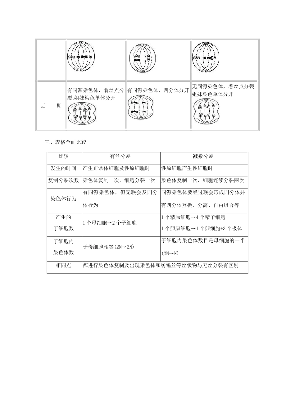 “三维”解析减数分裂与有丝分裂过程_第2页