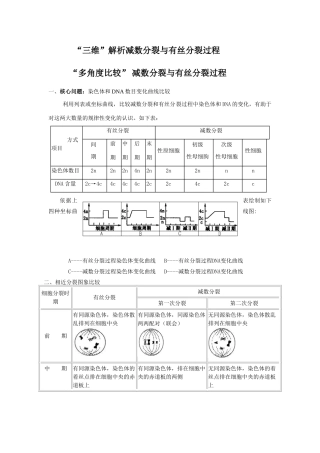 “三维”解析减数分裂与有丝分裂过程