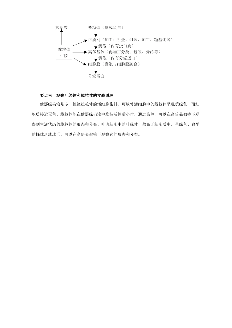“细胞的基本结构 细胞质”要点精析 学法指导_第2页
