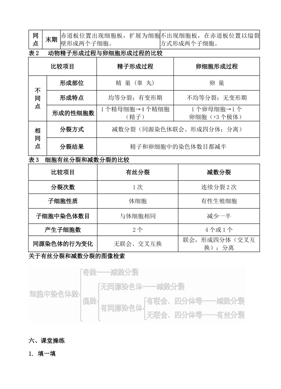 “细胞分裂”一轮专题复习教案_第3页