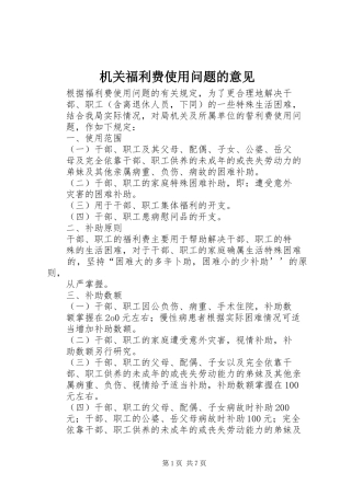 2024年机关福利费使用问题的意见