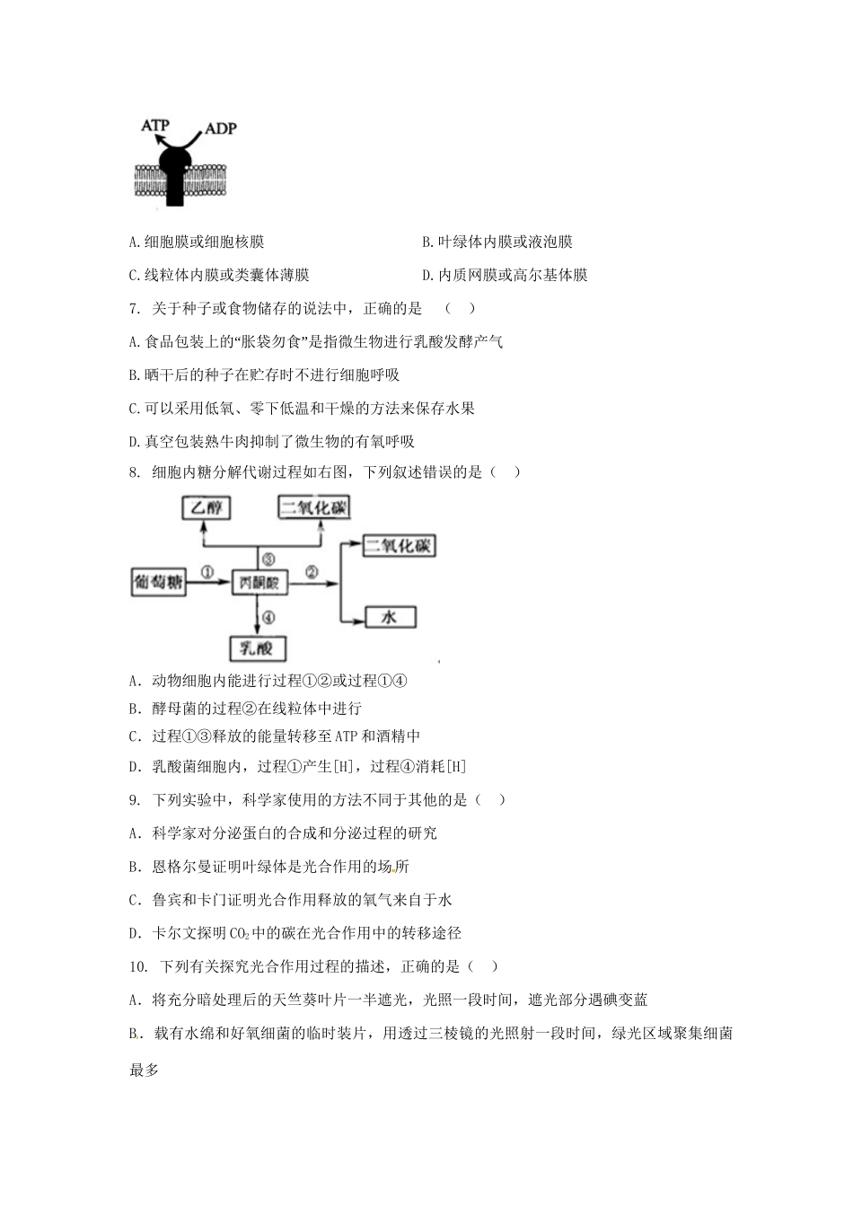 南溪中学高一生物期中联考试题-人教版高一生物试题_第2页