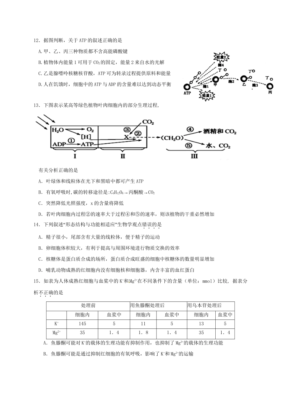 宁德市高级中学高三生物上学期第二次联考试题-人教版高三生物试题_第3页