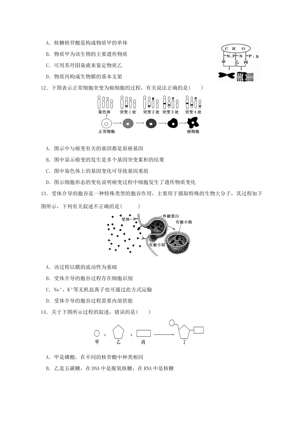 宁德市高级中学高三生物上学期第一次联考试题-人教版高三生物试题_第3页