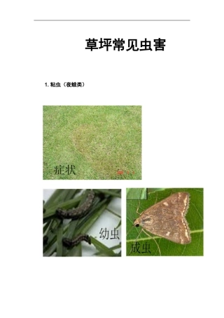 园林草坪常见虫害