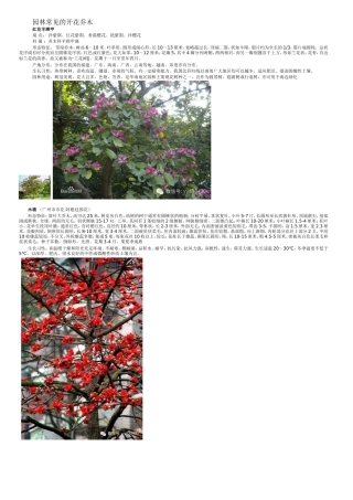 园林常见的开花乔木