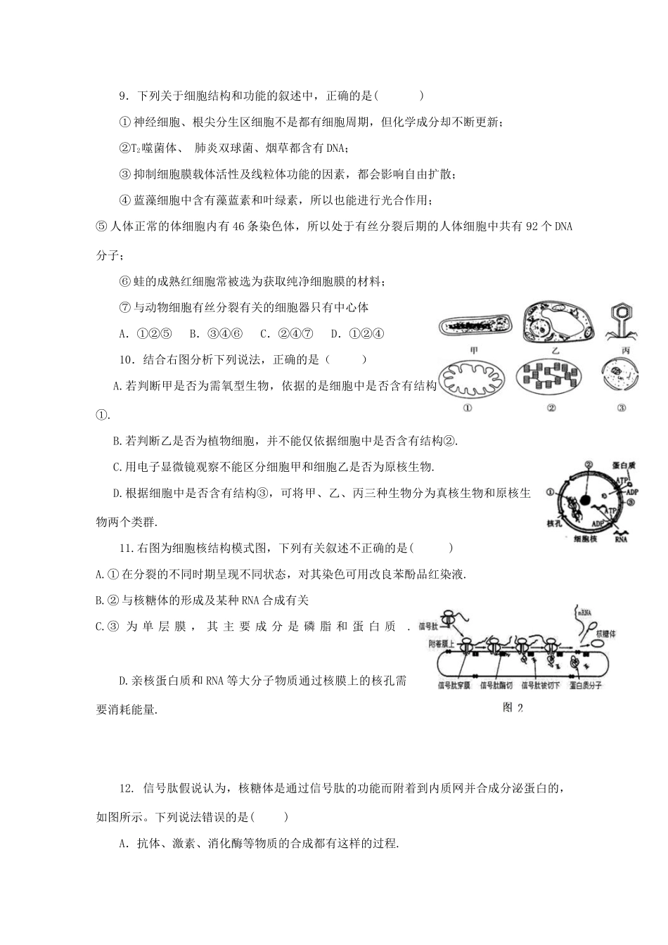 宜春中学高三生物上学期10月联考试题-人教版高三生物试题_第3页