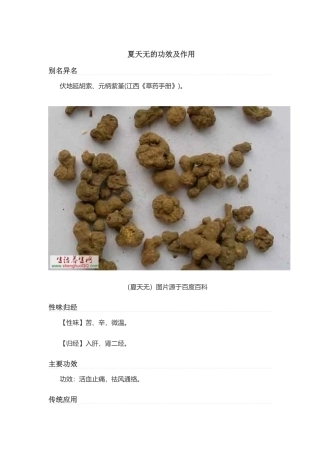 夏天无的功效及作用