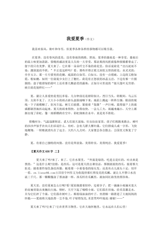 夏天作文600字-一