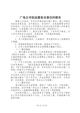 2024年广电公司创业服务自查自纠报告