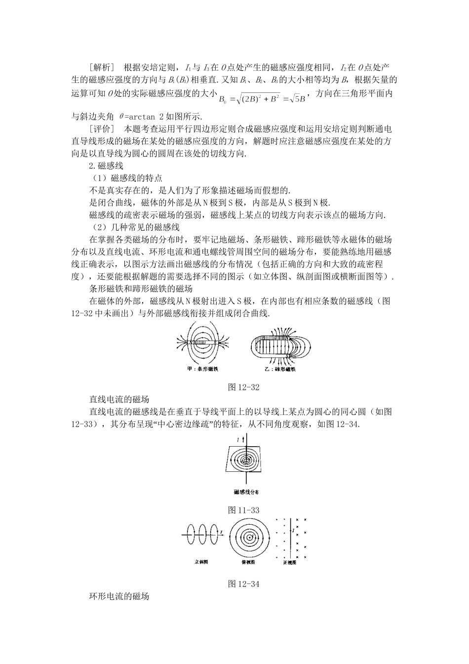 高考物理 二轮复习名师点津 专题十二 磁场-新人教原创_第2页