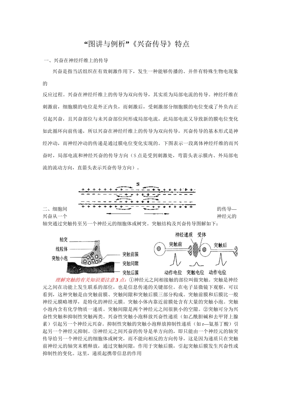 《兴奋传导》重点知识“精讲与例析”文档_第1页
