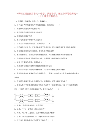 洪都中学麻丘中学等联考高一生物上学期期末试卷（含解析）-人教版高一生物试题