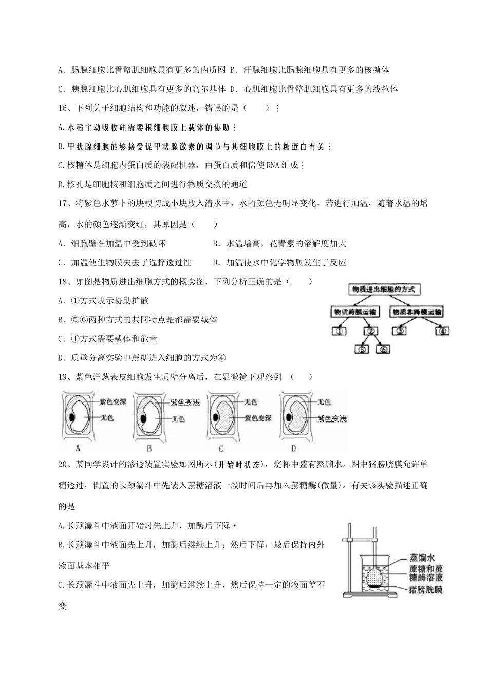 洪都中学麻丘中学等六校高一生物上学期期末考试试题-人教版高一生物试题_第3页