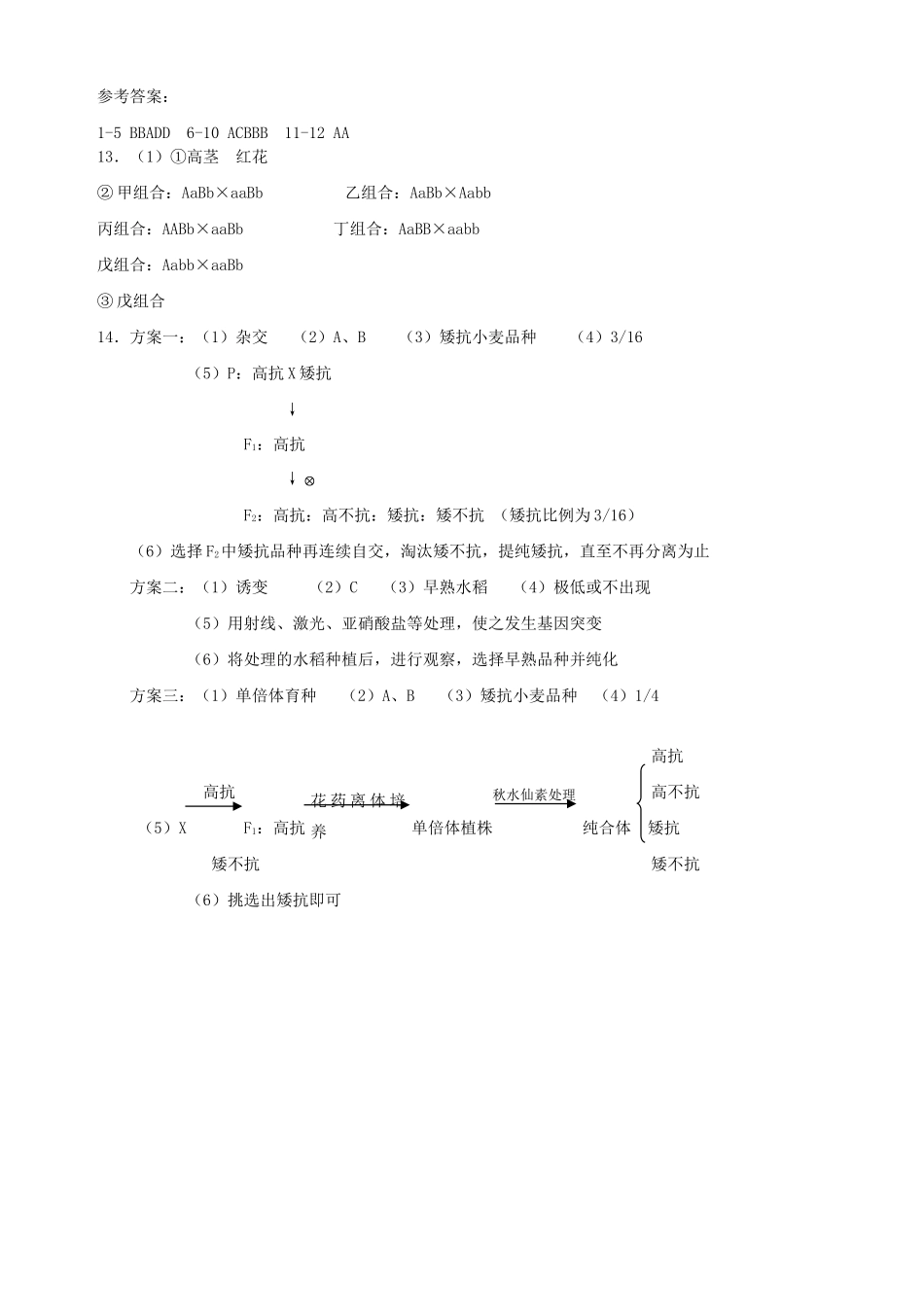 同步练习第02课孟德尔的豌豆杂交实验（二）_第3页