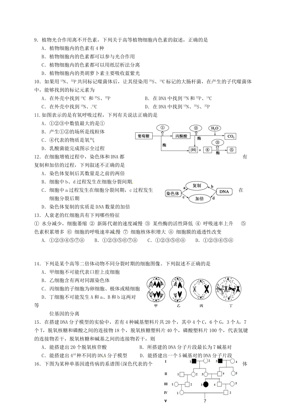 晋城一中高三生物上学期第一次联考试题-人教版高三生物试题_第2页