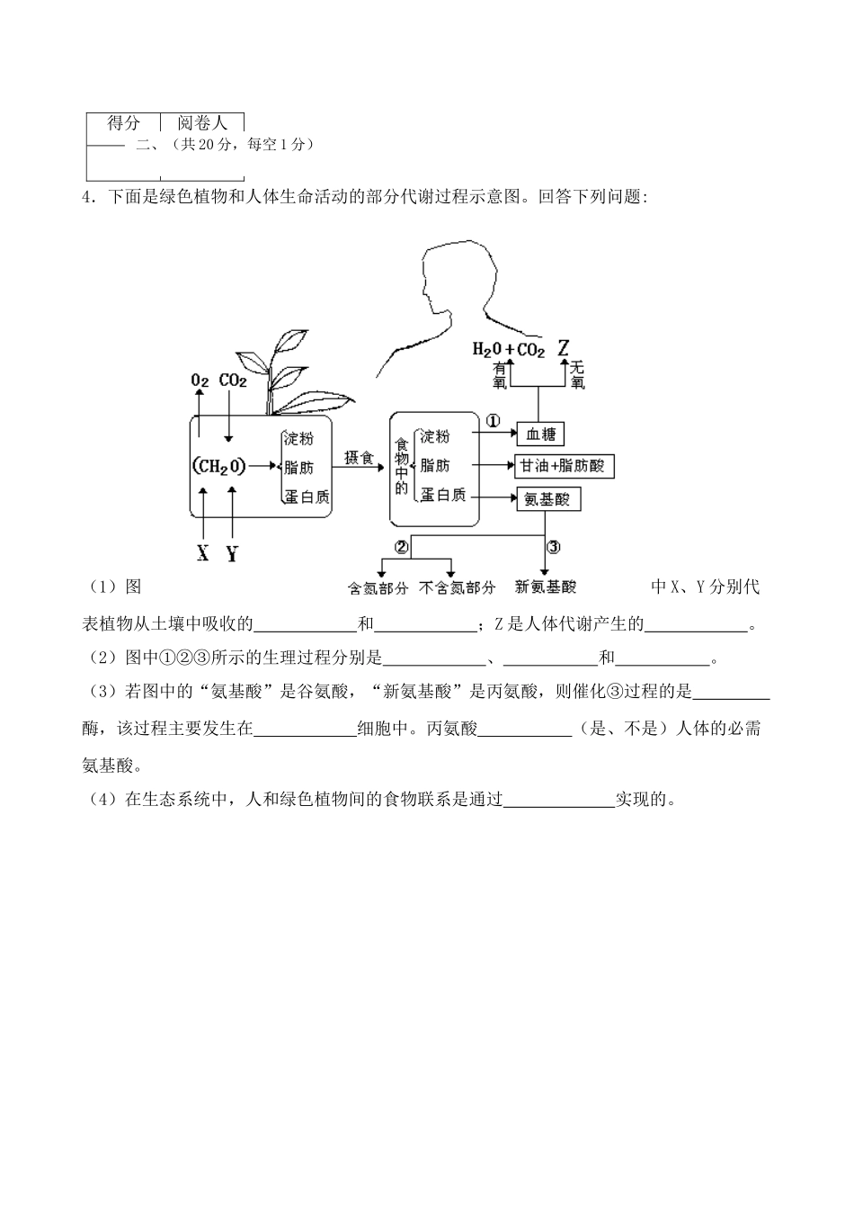 夏季生物二卷右图为某植物细胞亚显微结构模式_第3页