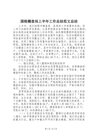 2024年国税稽查局上半年工作总结范文总结