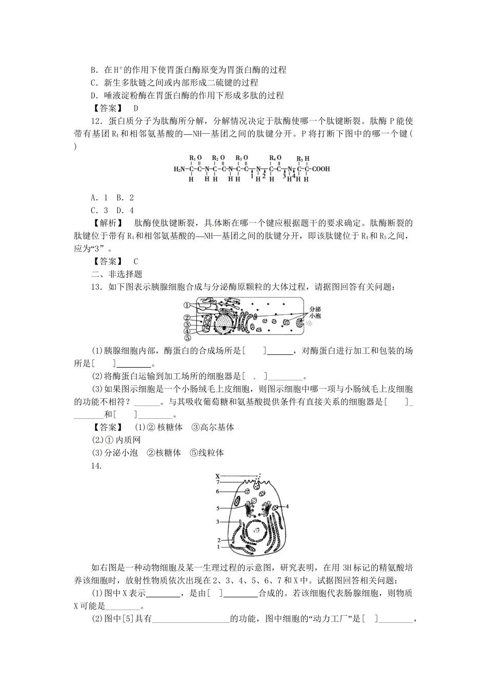 《金版》高中生物 第二单元 第二节蛋白质的合成与运输测试卷 中图版必修1_第3页