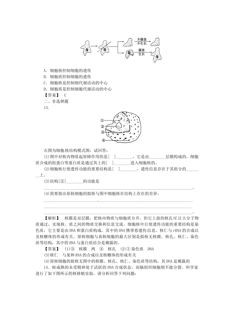 《金版》高中生物 第二单元 第二节核酸和细胞核测试卷 中图版必修1_第3页