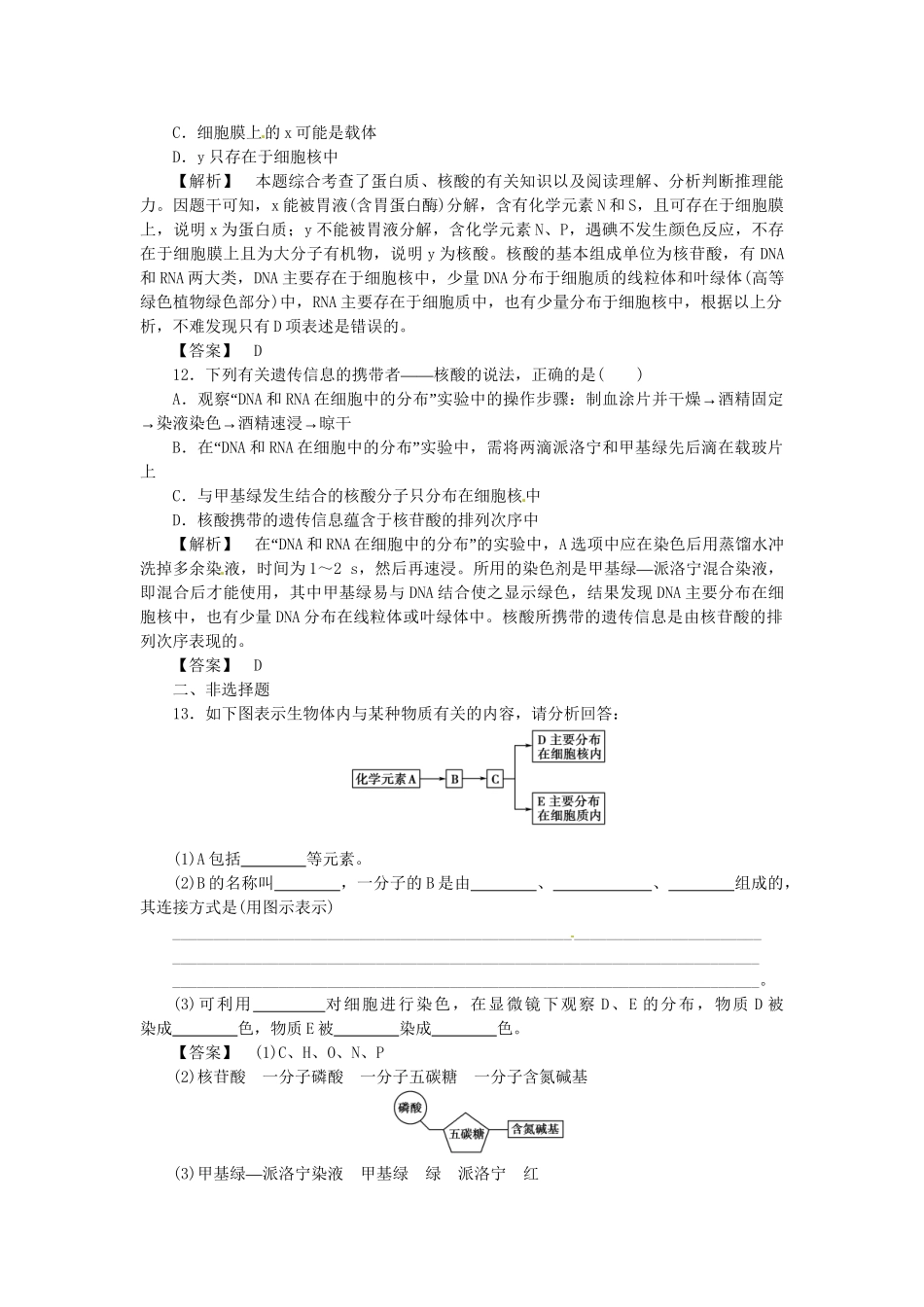 《金版》高中生物 第二单元 第二章　细胞中的核酸测试卷 中图版必修1_第3页