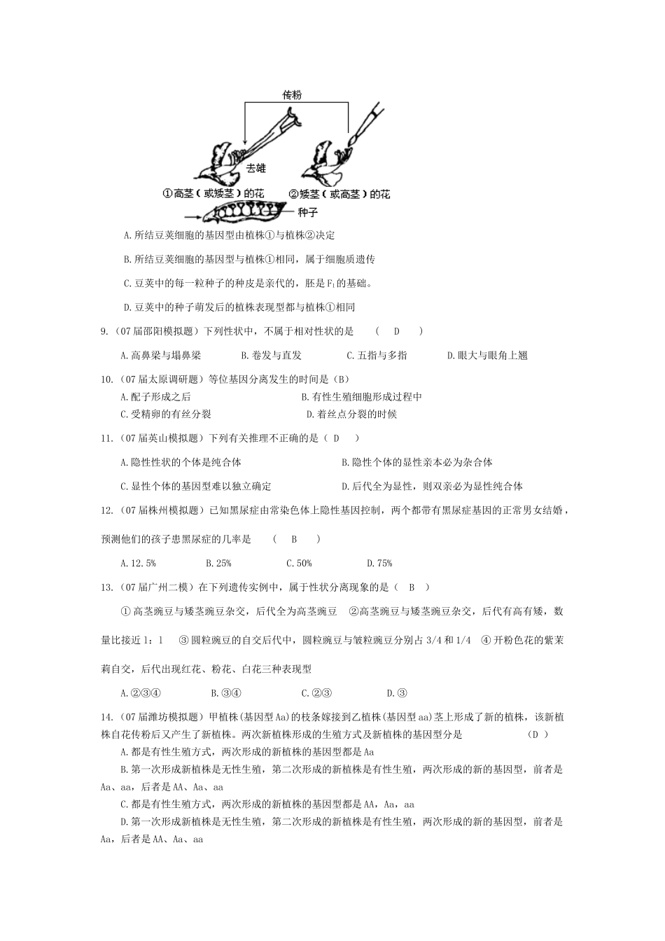 《基因的分离定律》07模拟_第2页