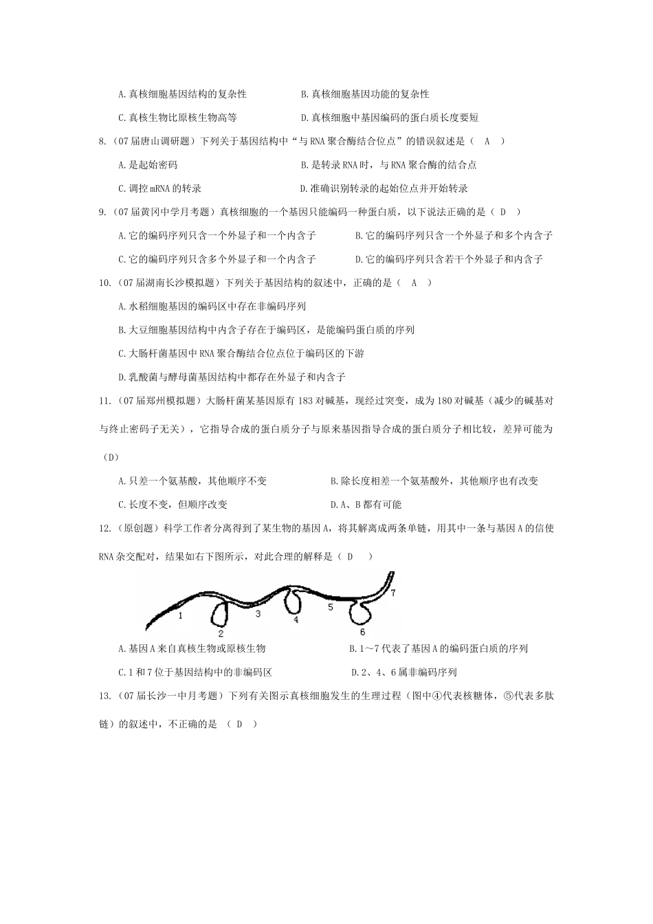 《基因的结构》07模拟_第2页