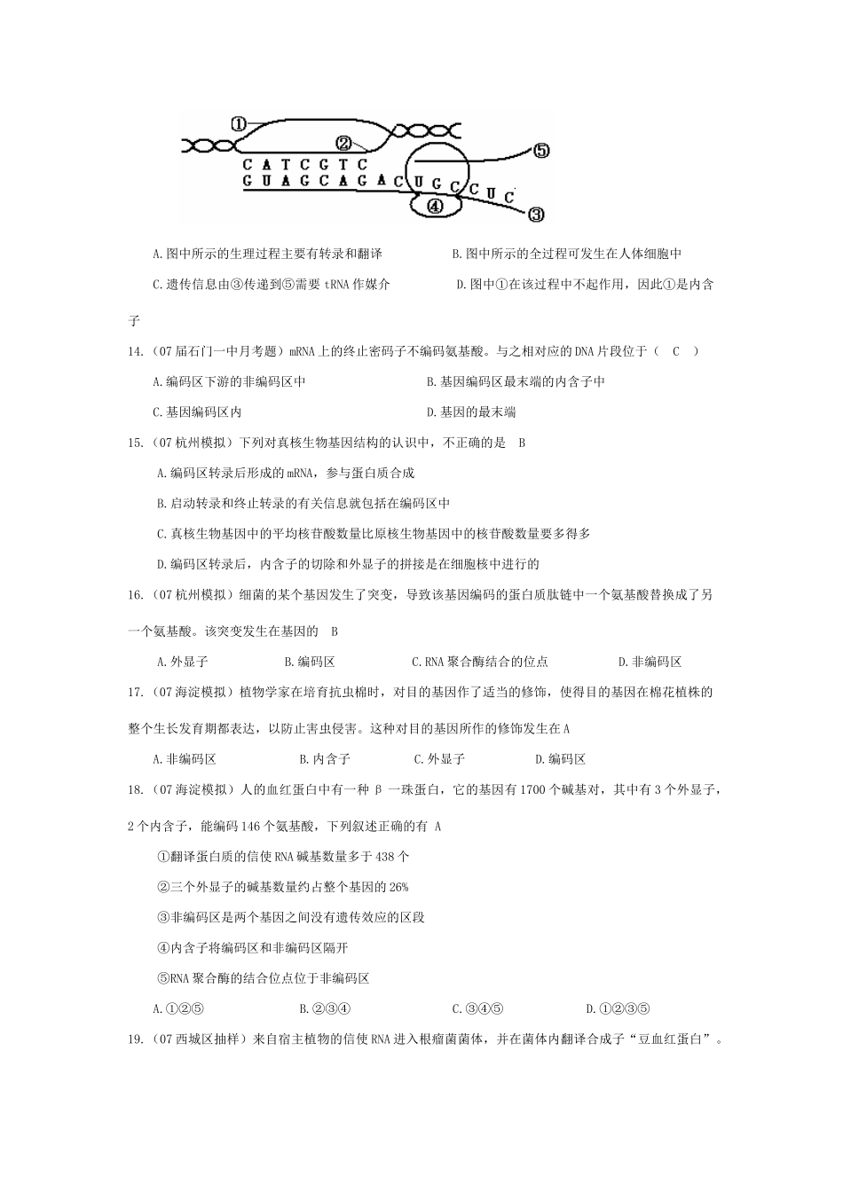 《基因的结构》07模拟_第3页