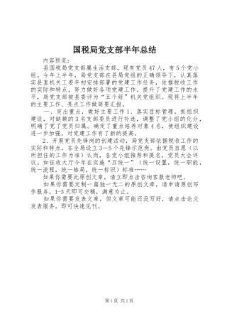 2024年国税局党支部半年总结