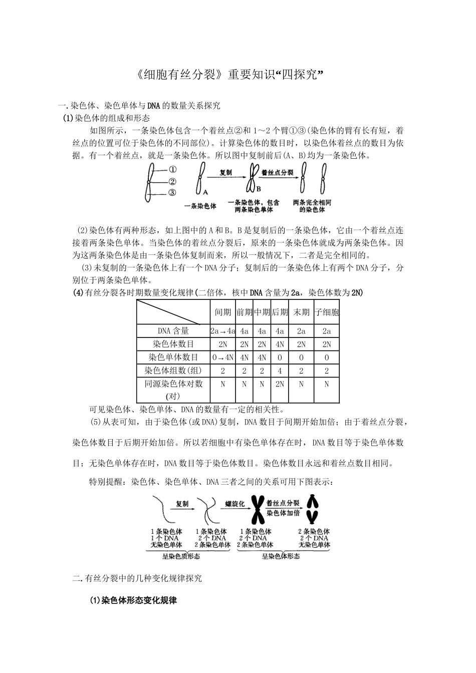《细胞有丝分裂》重要知识探究文档_第1页