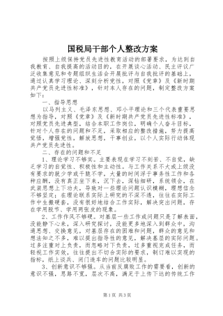 2024年国税局干部个人整改方案