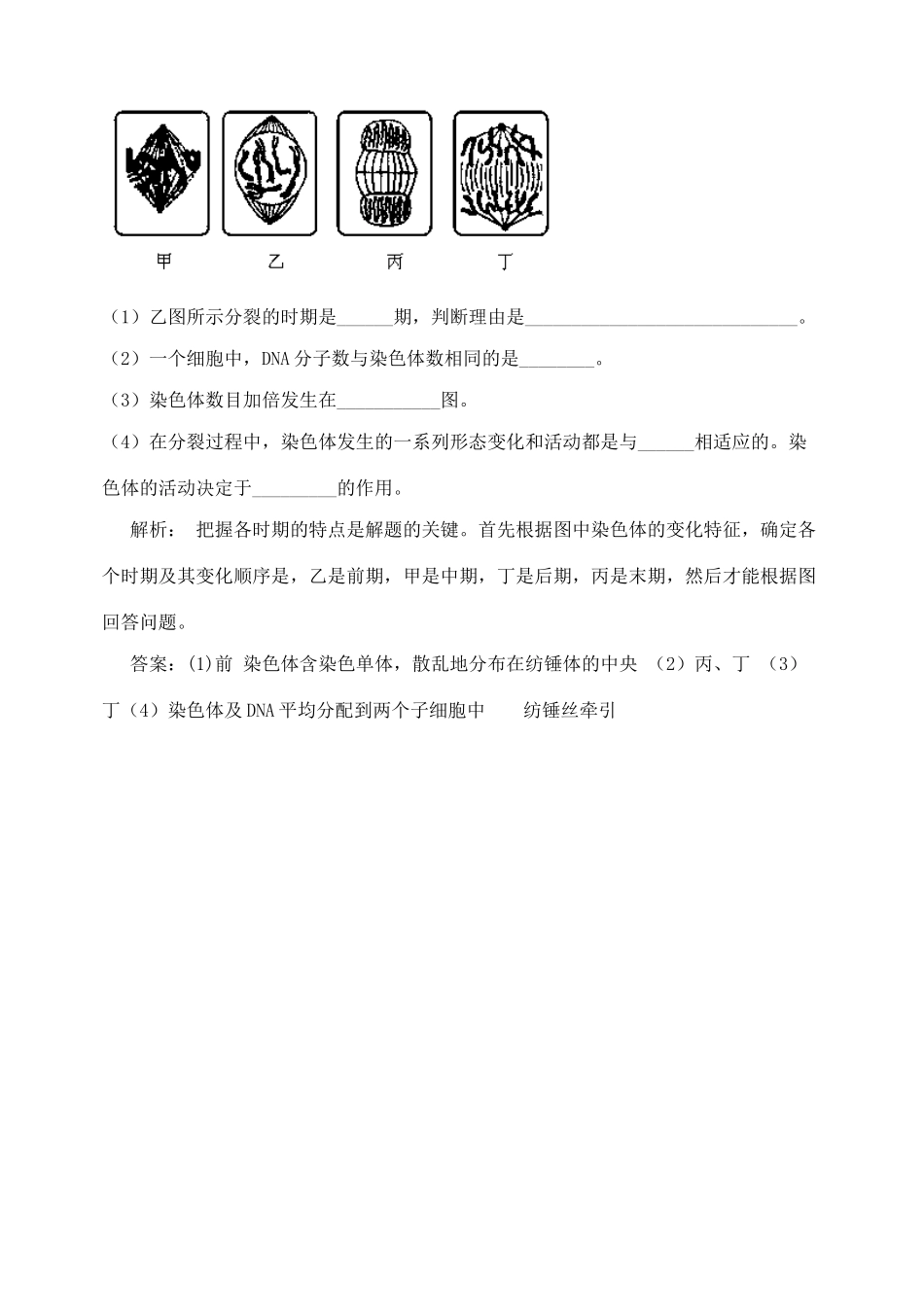 《有丝分裂》重点知识例题解析_第3页