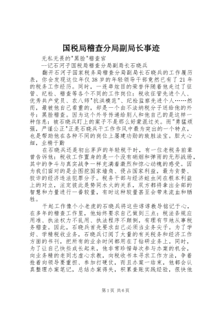 2024年国税局稽查分局副局长事迹