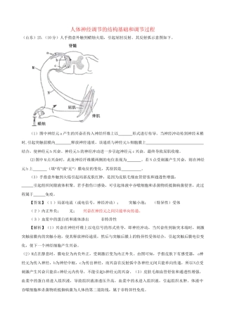 高考生物真题按知识点分类汇编 人体神经调节的结构基础和调节过程