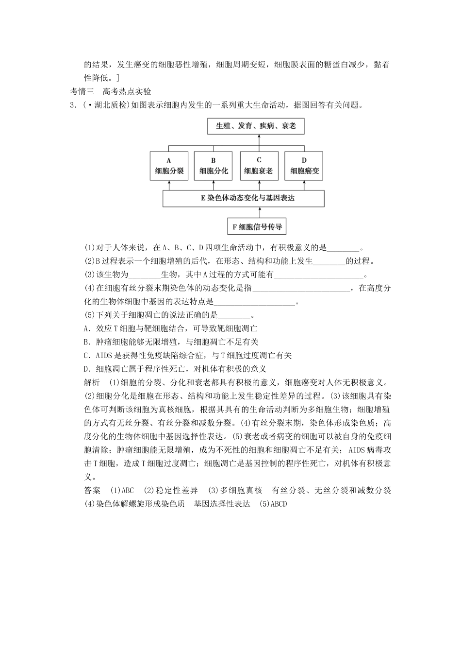 高考生物大一轮总复习 4.11 细胞的分化、衰老、凋亡及癌变随堂考情体验 新人教必修1 _第2页