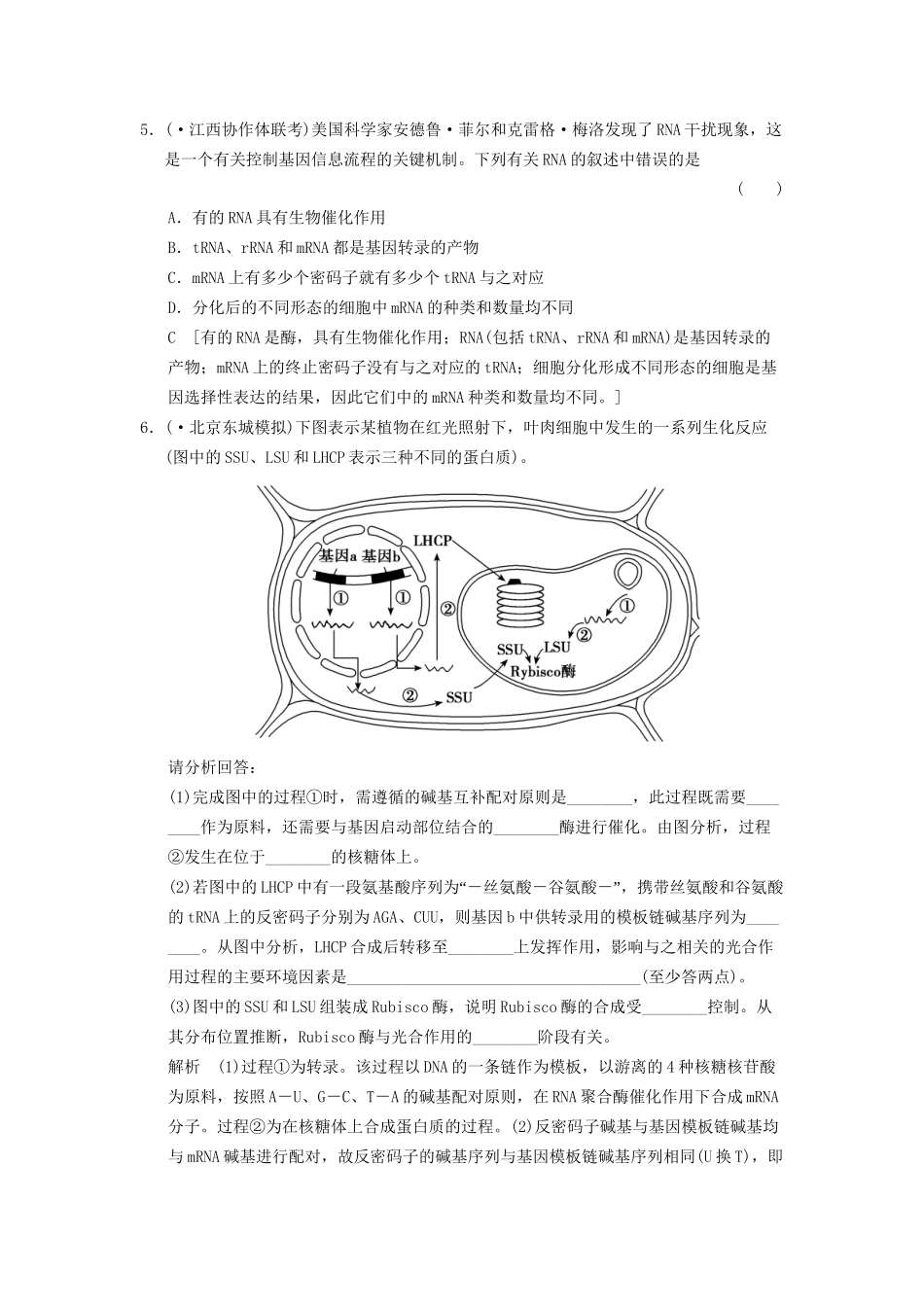 高考生物大一轮总复习 6.18 基因的表达随堂考情体验 新人教必修2 _第3页
