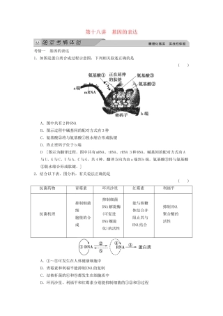 高考生物大一轮总复习 6.18 基因的表达随堂考情体验 新人教必修2 