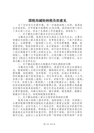 2024年国税局减轻纳税负担意见