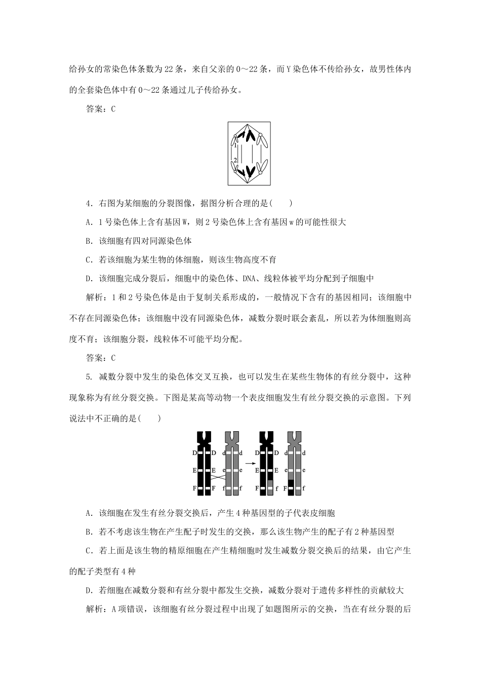 高中生物总复习 第二章 第一节 减数分裂和受精作用课时训练 新人教版必修2_第2页