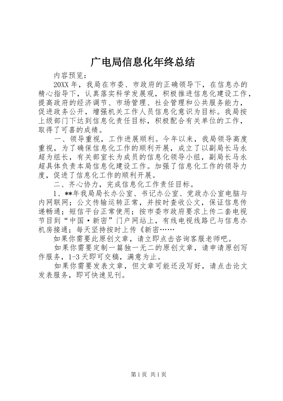 2024年广电局信息化年终总结_第1页