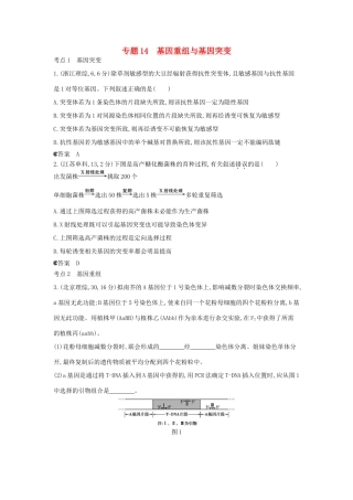（新课标版）高考生物真题分类汇编 专题14 基因重组与基因突变
