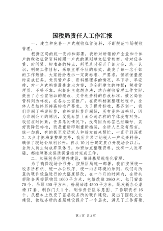 2024年国税局责任人工作汇报