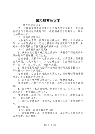 2024年国税局整改方案