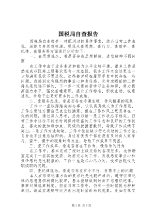 2024年国税局自查报告
