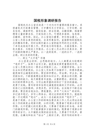 2024年国税形象调研报告