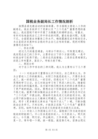 2024年国税业务副局长工作情况剖析