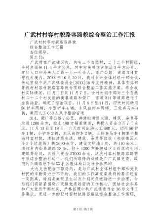 2024年广武村村容村貌路容路貌综合整治工作汇报